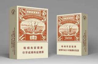 人民大会堂细烟多少钱今日揭秘，带您详解人民大会堂细烟价格