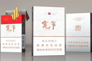 二十元的烟有哪些牌子好一点2025详解，权威详述二十元好烟牌子